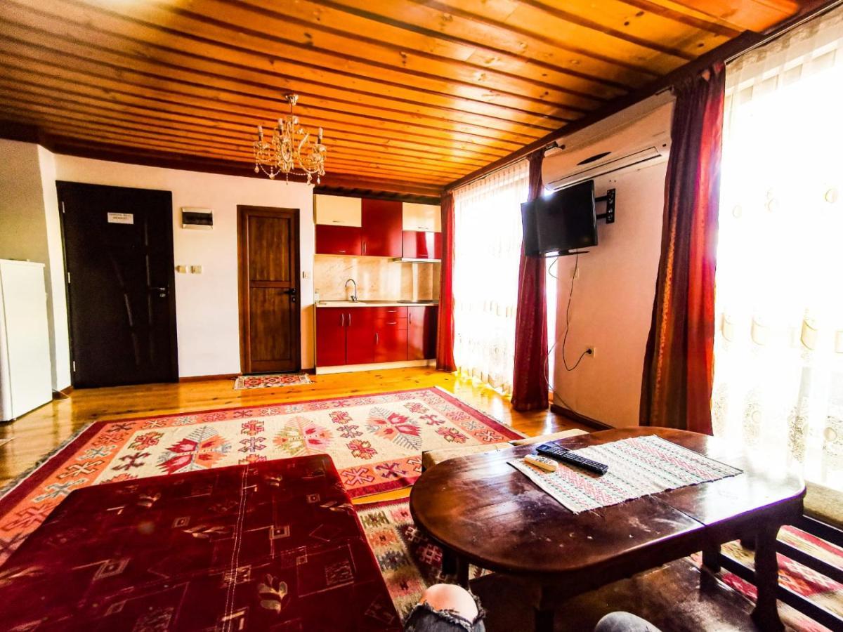 Hotel Alikante سارنيتسا المظهر الخارجي الصورة
